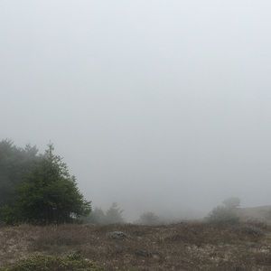 Meet your Posher, Kara